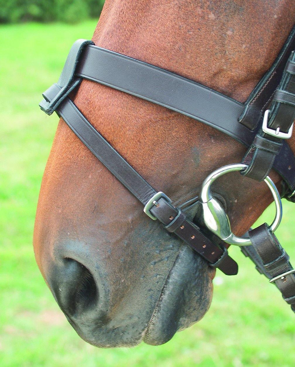 Blenheim Laniere de Muserolle - SHOPHORSE